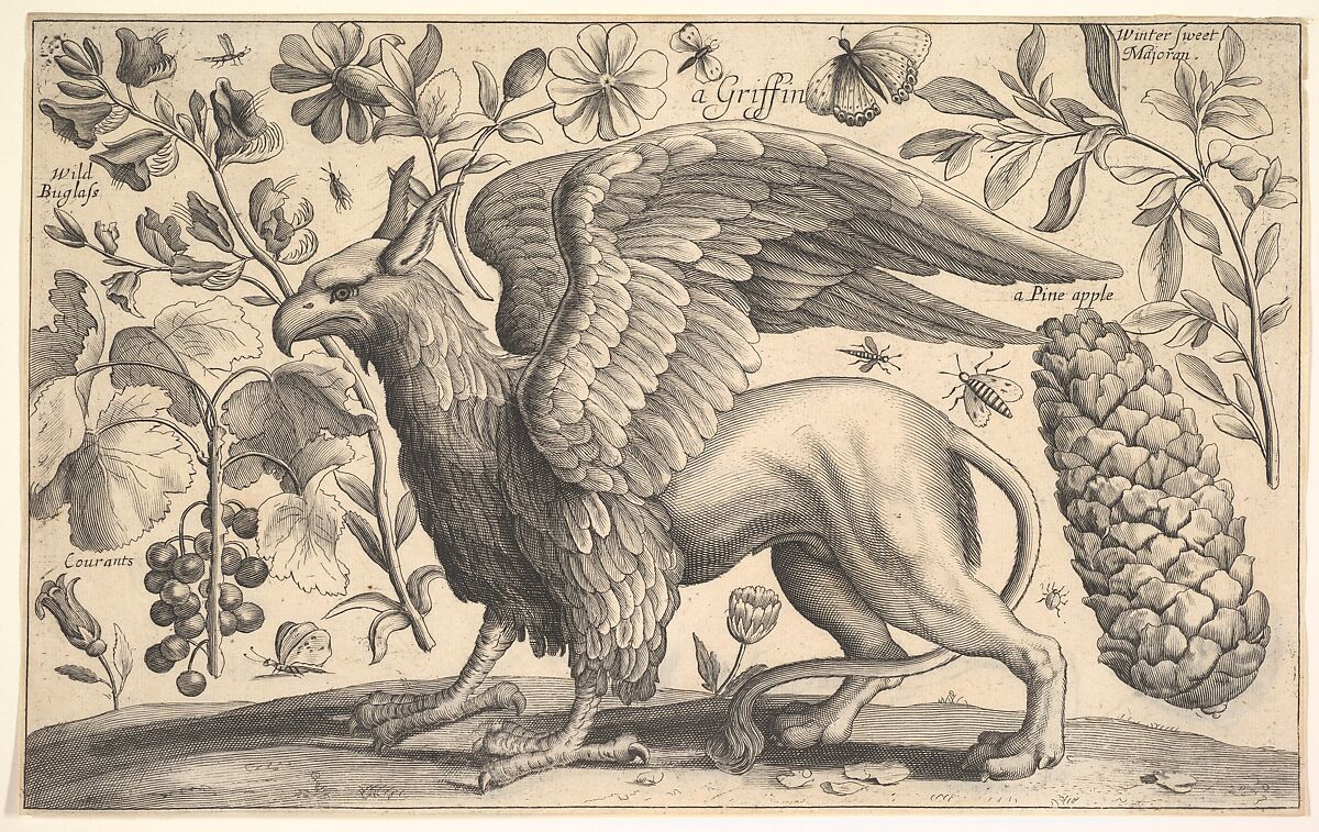 A Griffin, After Wenceslaus Hollar (Bohemian, Prague 1607–1677 London), Etching, only state 