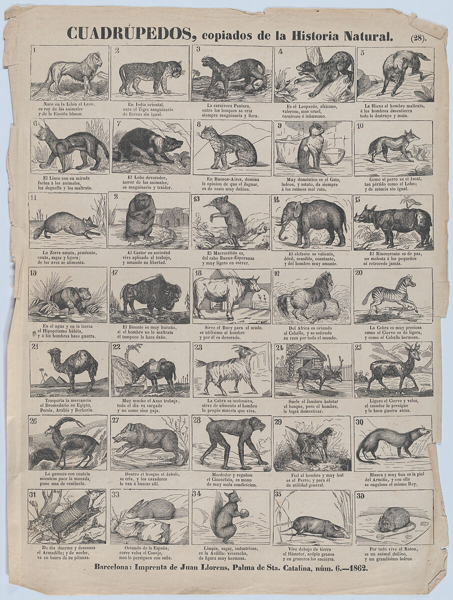 Broadside with 36 images of quadrupeds (animals), Juan Llorens (Spanish, active Barcelona, ca. 1855–70), Wood engraving 