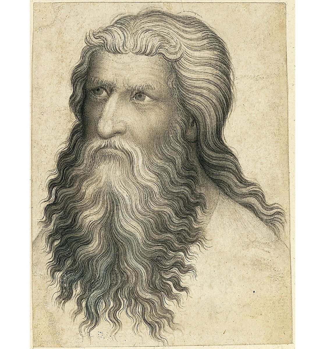 Head of a Bearded Man, Anonymous, Bohemian, 14th century, Pen and gray-brown ink, brush and gray-black and brown wash, traces of white gouache highlights