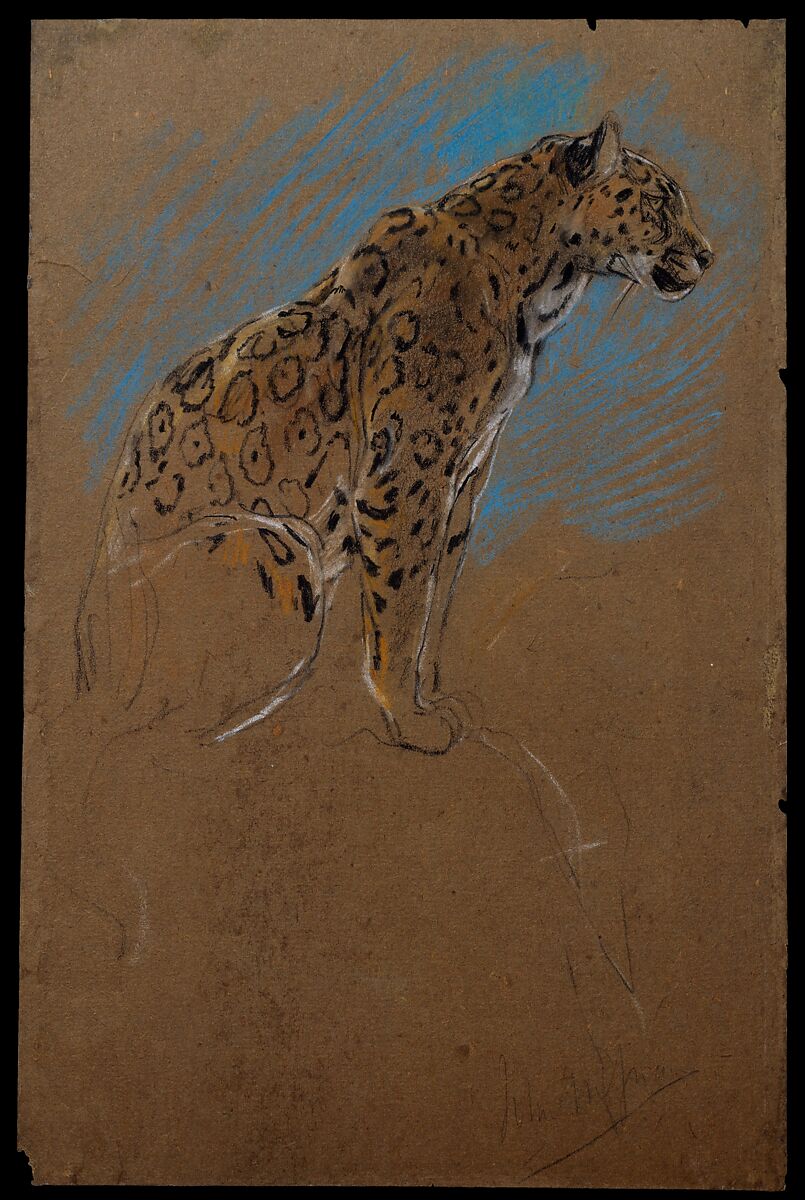 Study of a Jaguar, John Macallan Swan (Scottish, Old Brentford 1847–1910 Isle of Wight), Pastel 