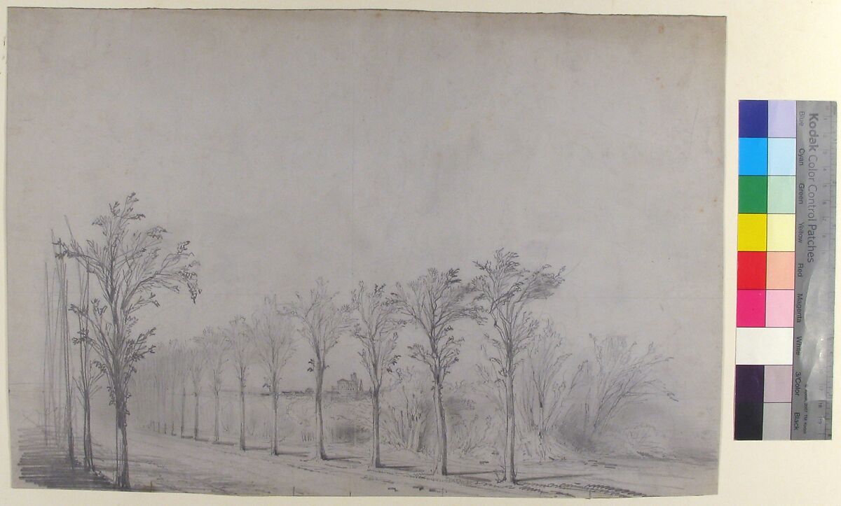 Design for a Stage Set at the Opéra, Paris: Tree-Lined Road, Eugène Cicéri (French, Paris 1813–1890 Fontainebleau), Graphite