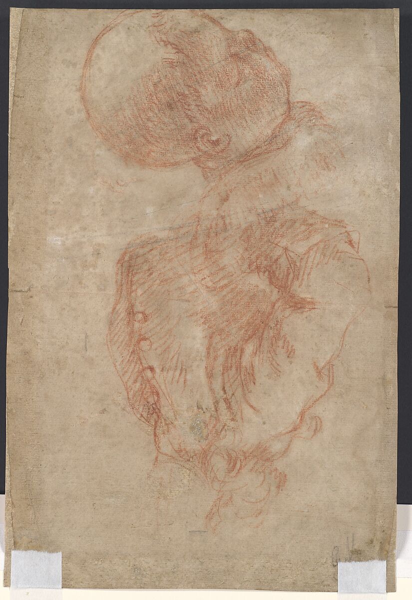 Portrait of a Man (recto); A Male Torso in Jacket and the Head of a Child (verso), Giuseppe Ghislandi ("Fra Vittore Galgario") (Italian, Bergamo 1655–1743 Bergamo), Red chalk highlighted with white chalk (recto); red chalk (verso)