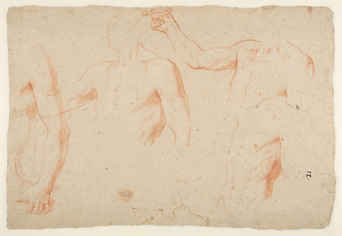 Figure and Drapery studies (recto); Three Studies of a Male Torso for the "Coronation of Marcantonio Pasqualini'" (verso), Andrea Sacchi (Italian, Rome (?) ca. 1599–1661 Rome), Red and white chalk (recto); red chalk (verso)