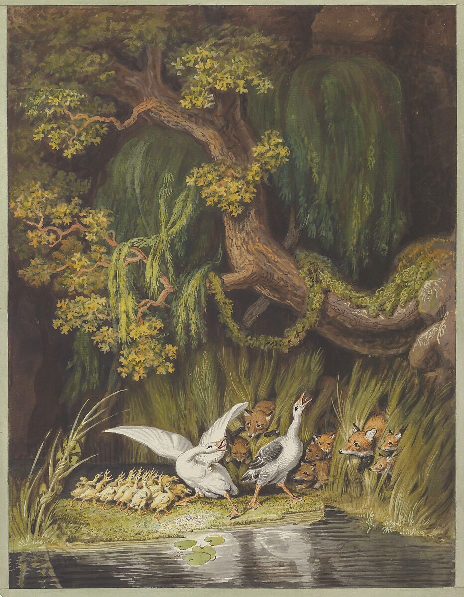 A Goose and a Gander with their Goslings Honking in Alarm as Two Foxes with their Cubs Emerge from the Rushes, Johann Heinrich Wilhelm Tischbein (German, Haina 1751–1829 Eutin), Pen and brown ink, brush and brown and gray wash over black chalk, watercolor and bodycolor 