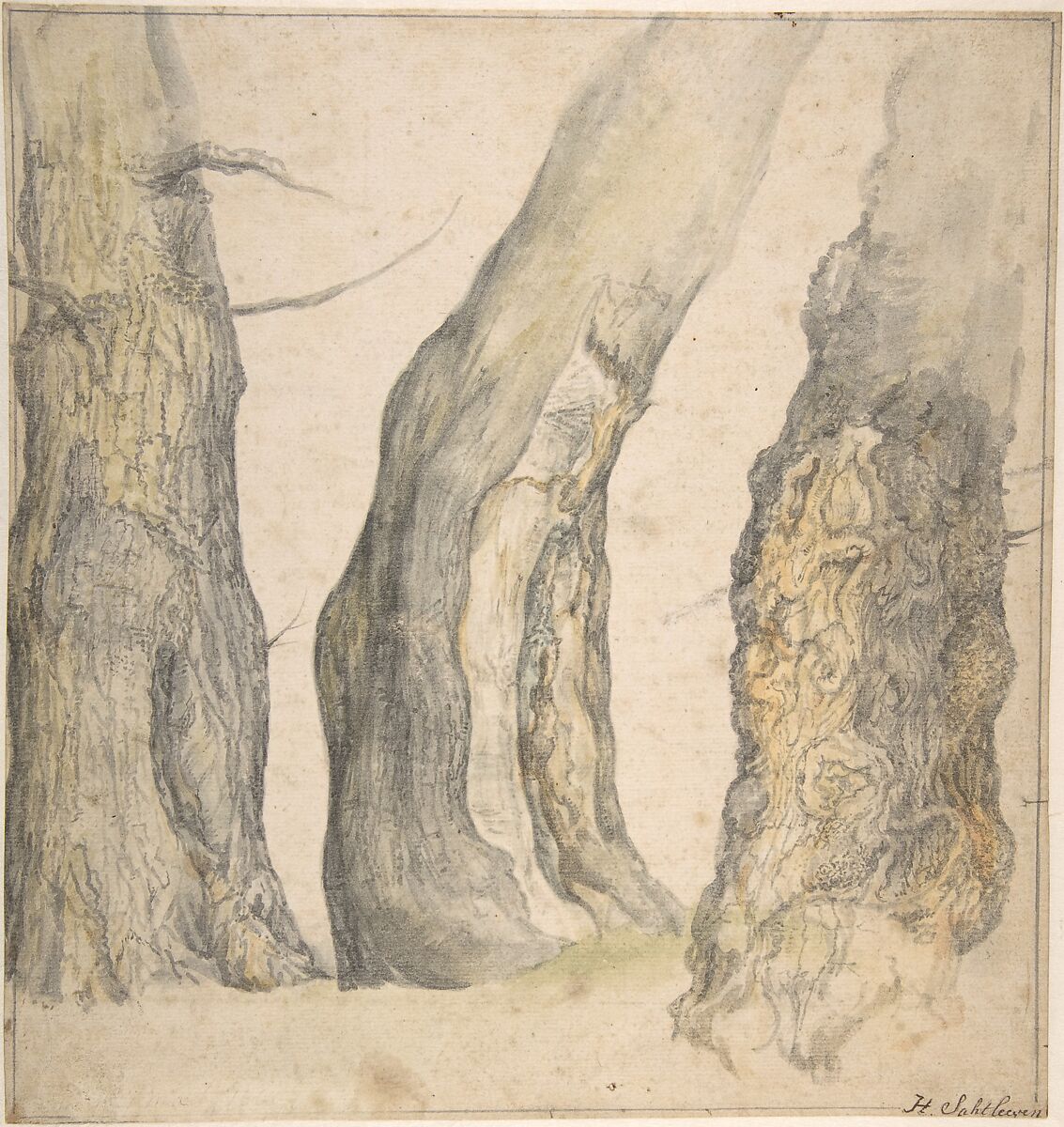 Study of Three Old Gnarled Trees, Jan Siberechts (Flemish, Antwerp 1627–ca. 1703 London), Watercolor and gray wash 