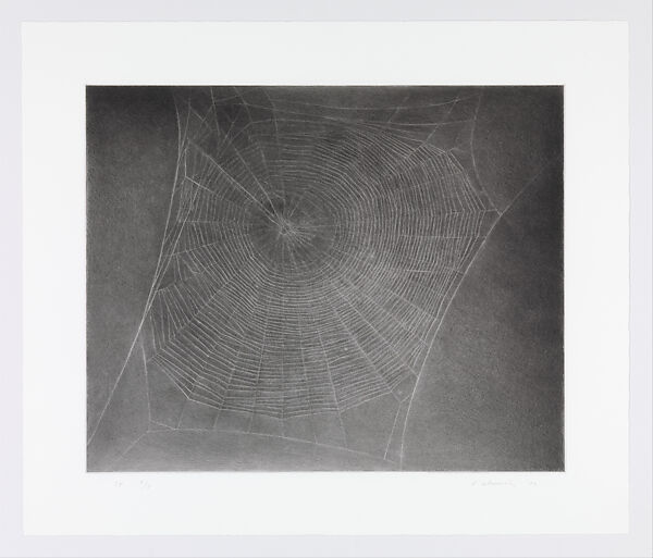 Untitled (Web 4), Vija Celmins (American, born Riga, Latvia, 1938), One-color photogravure with burnishing and drypoint 