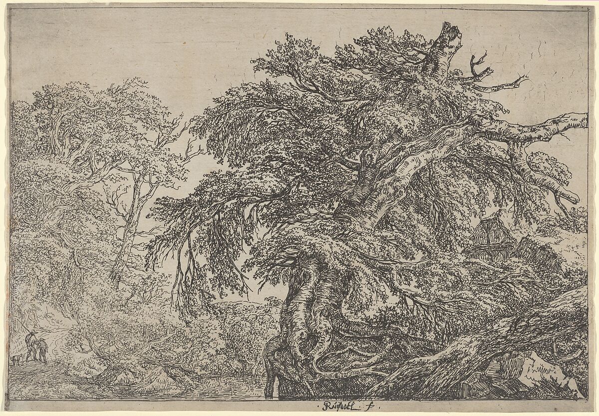 The Great Beech (Two Farmers with their Dog), Jacob van Ruisdael (Dutch, Haarlem 1628/29–1682 Amsterdam), Etching; first state of three 
