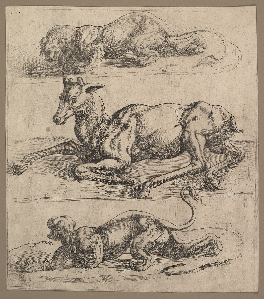 A  Doe and Two Lionesses, Attributed to Jan Cornelisz Vermeyen (Netherlandish, Beverwijk ca. 1504–1559 Brussels), Etching 