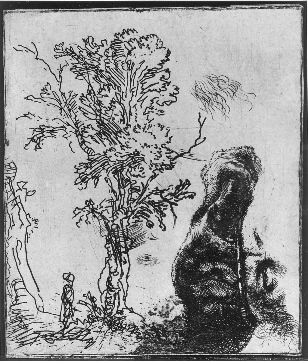 Sheet with Two Studies:  A Tree and the Upper Part of a Head of Rembrandt Wearing a Velvet Cap, Rembrandt (Rembrandt van Rijn) (Dutch, Leiden 1606–1669 Amsterdam), Etching; only state