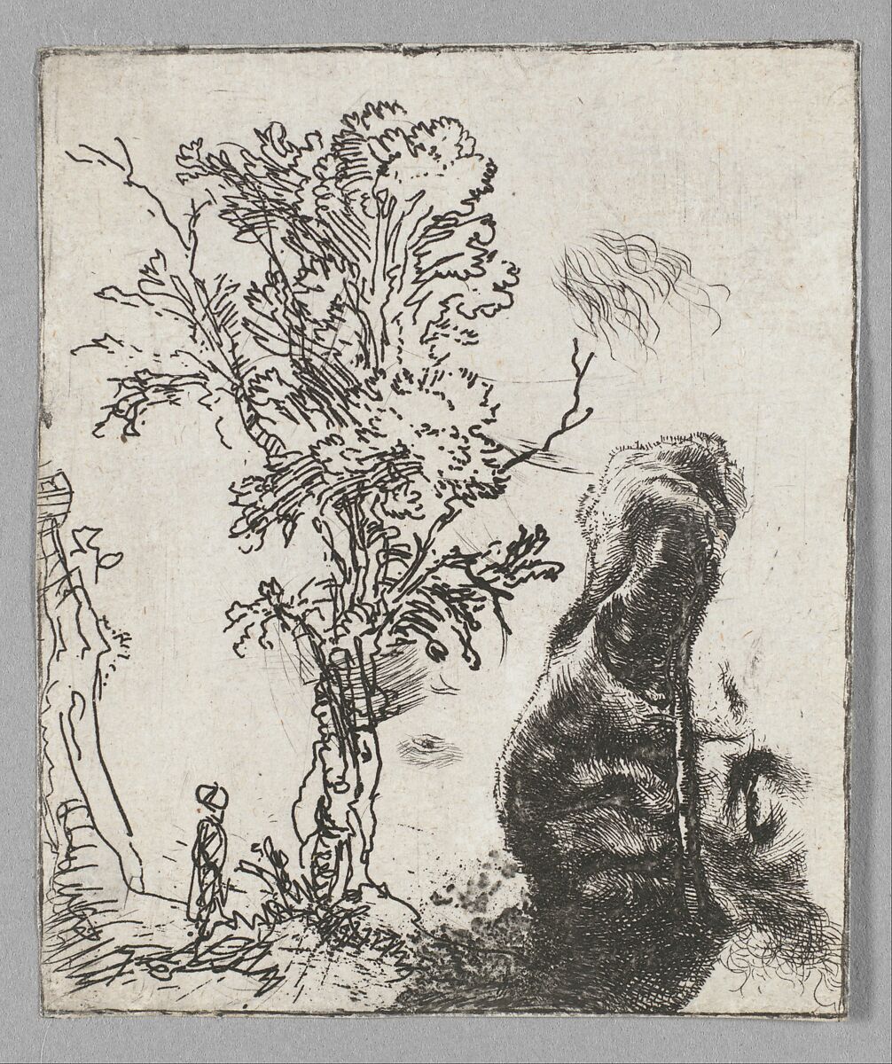 Sheet with Two Studies:  A Tree and the Upper Part of a Head of Rembrandt Wearing a Velvet Cap, Rembrandt (Rembrandt van Rijn) (Dutch, Leiden 1606–1669 Amsterdam), Etching; only state