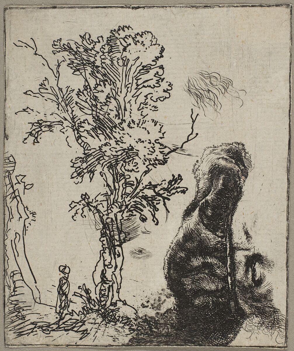 Sheet with Two Studies:  A Tree and the Upper Part of a Head of Rembrandt Wearing a Velvet Cap, Rembrandt (Rembrandt van Rijn) (Dutch, Leiden 1606–1669 Amsterdam), Etching; only state 