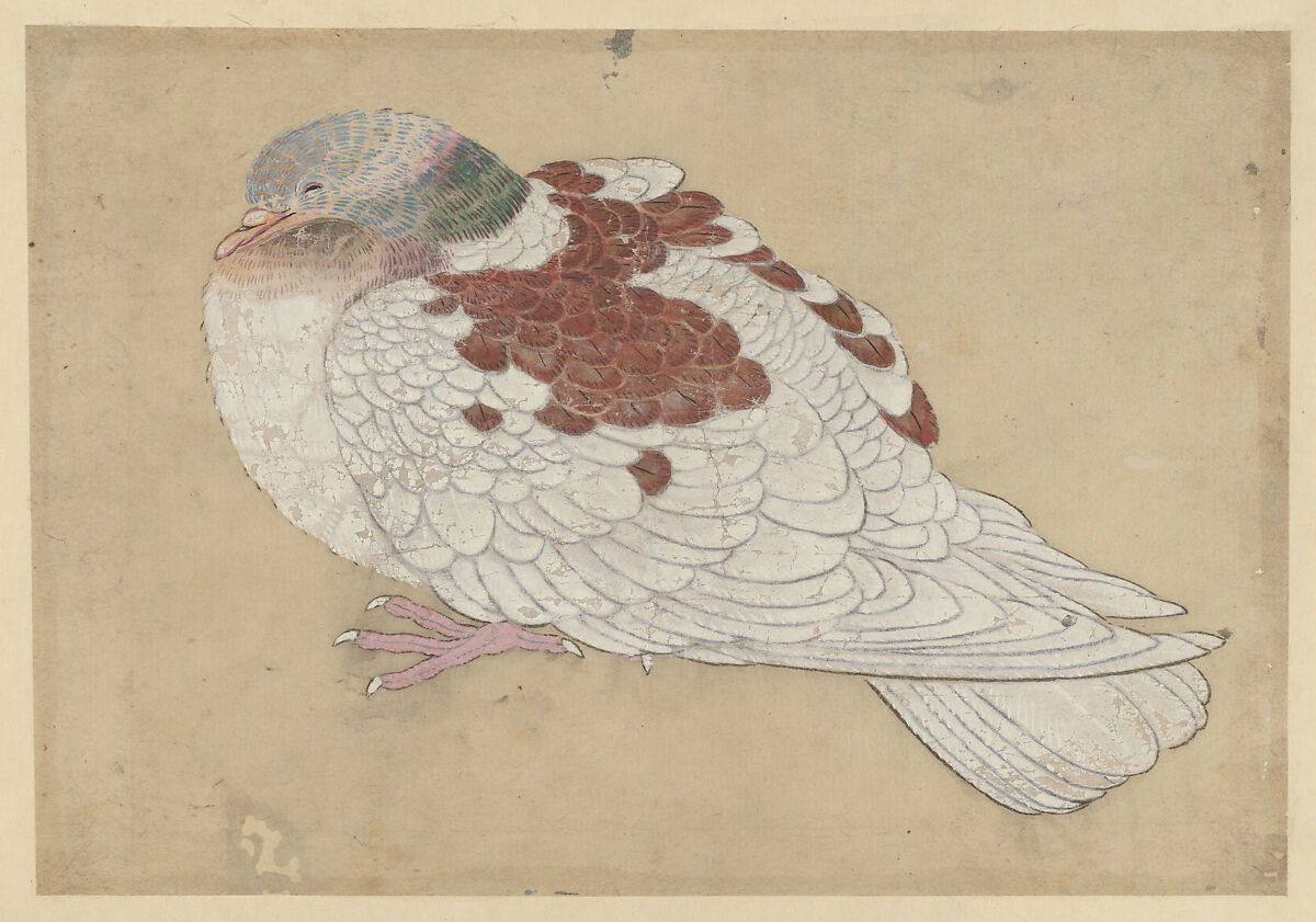 Bird, In the Style of Ogawa Haritsu (Ritsuō) (Japanese, 1663–1747), Watercolor on paper, Japan 