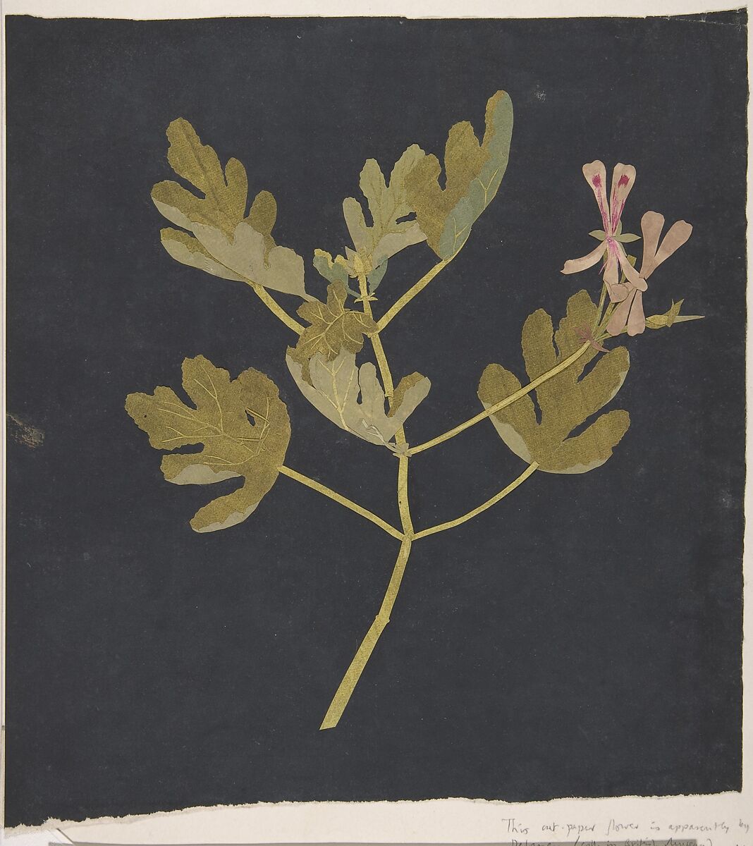 Botanical Study, Mary Delany (British, Coulston, Wiltshire 1700–1788 London), Paper collage 