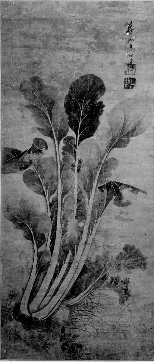 Cabbage, Ma Shida (Chinese, 15th century (?)), Hanging scroll; ink on paper, China 