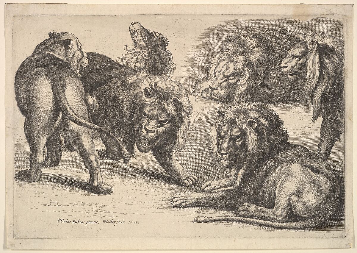 Six Lions in Various Poses, Wenceslaus Hollar (Bohemian, Prague 1607–1677 London), Etching; only state 