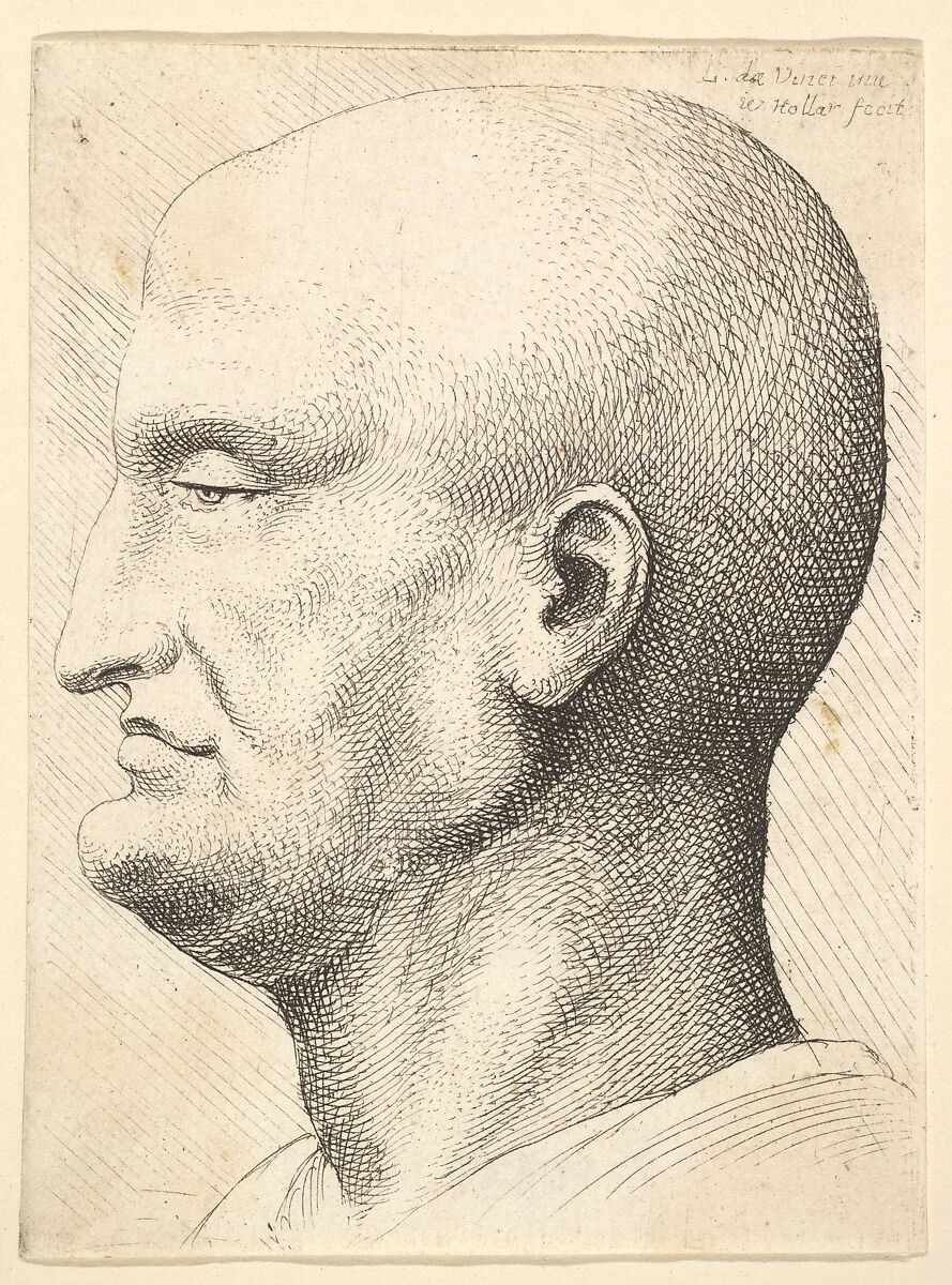 Head of a bald man in profile to left, Wenceslaus Hollar (Bohemian, Prague 1607–1677 London), Etching; only state 