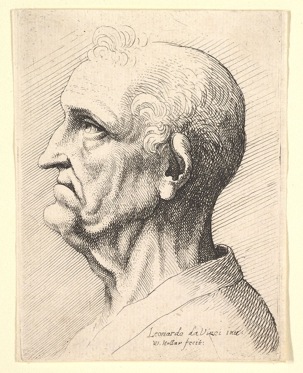 Head of an old man with tufts of curly hair around ear in profile to left, Wenceslaus Hollar (Bohemian, Prague 1607–1677 London), Etching; only state 
