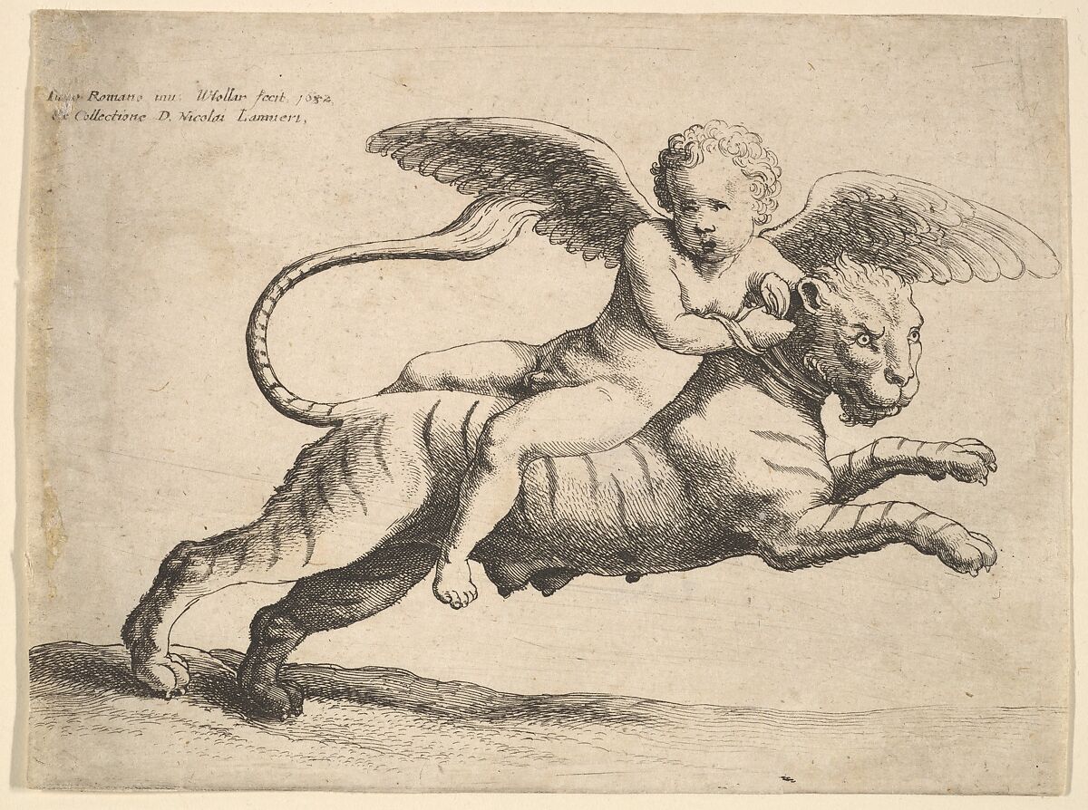 Cupid on a tiger, Wenceslaus Hollar (Bohemian, Prague 1607–1677 London), Etching, only state 