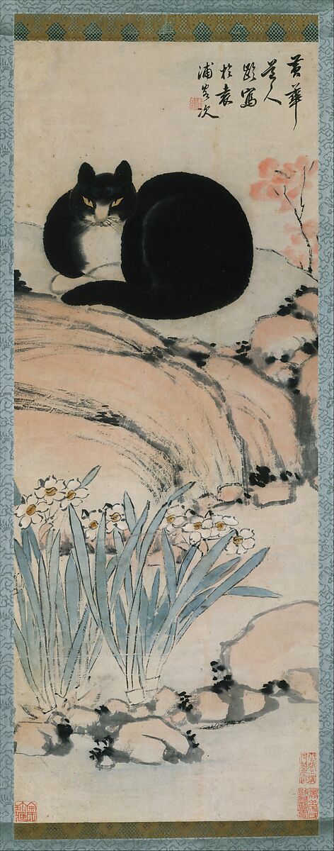 Black Cat and Narcissus, Zhu Ling (Chinese, active ca. 1820–1850), Hanging scroll; ink and color on paper, China 