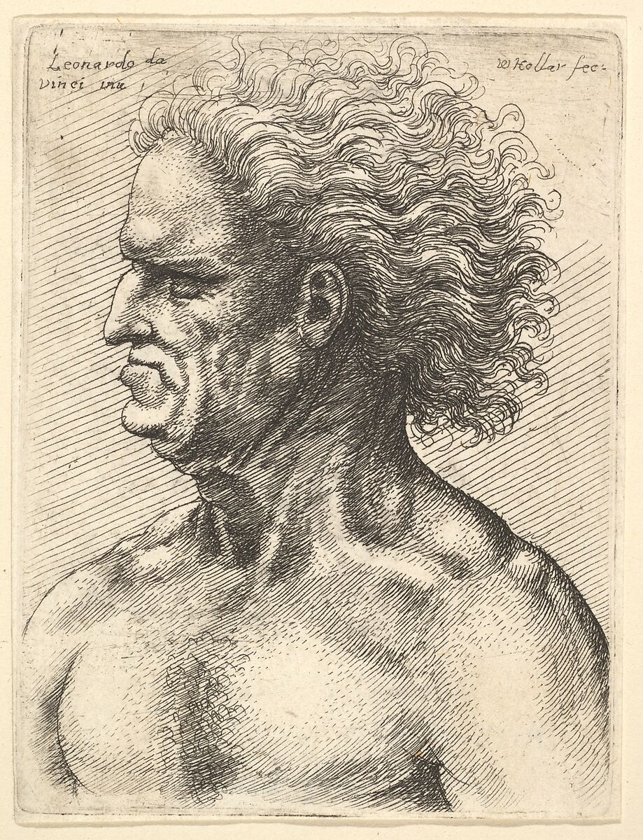 Head of a muscular old man in profile to left with flowing hair, Wenceslaus Hollar (Bohemian, Prague 1607–1677 London), Etching; only state 