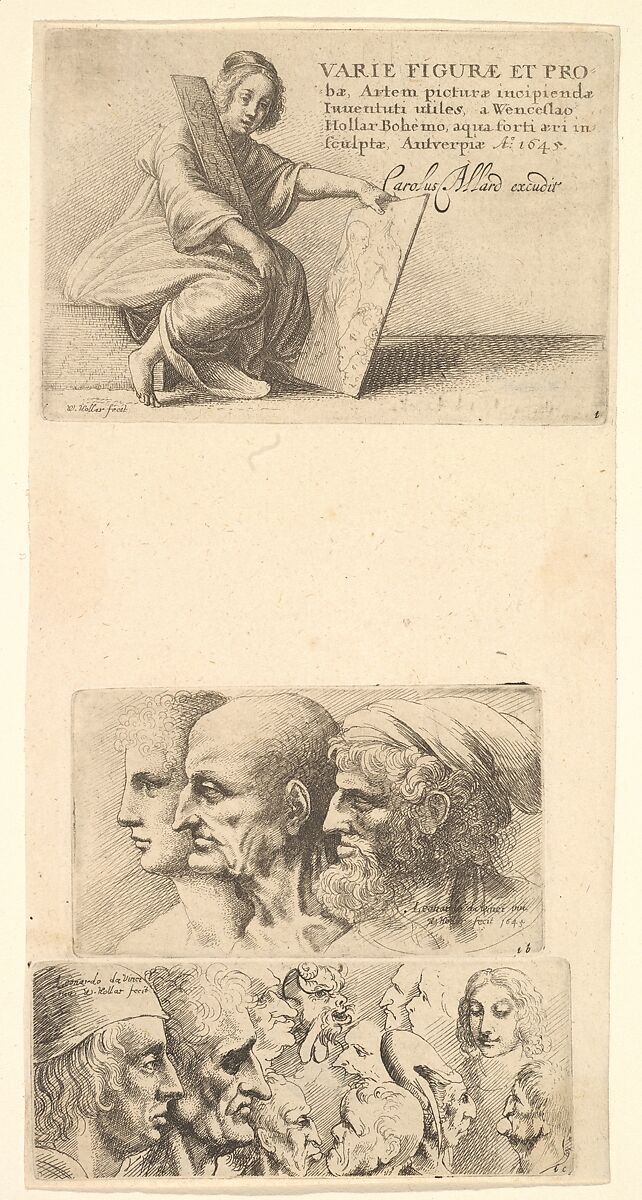 Row of three heads in profile to left, Wenceslaus Hollar (Bohemian, Prague 1607–1677 London), Etching; second state of two
