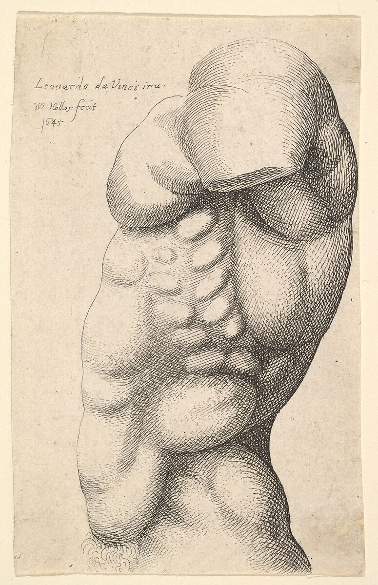 Male torso from neck to hip in profile to left, Wenceslaus Hollar (Bohemian, Prague 1607–1677 London), Etching; only state 