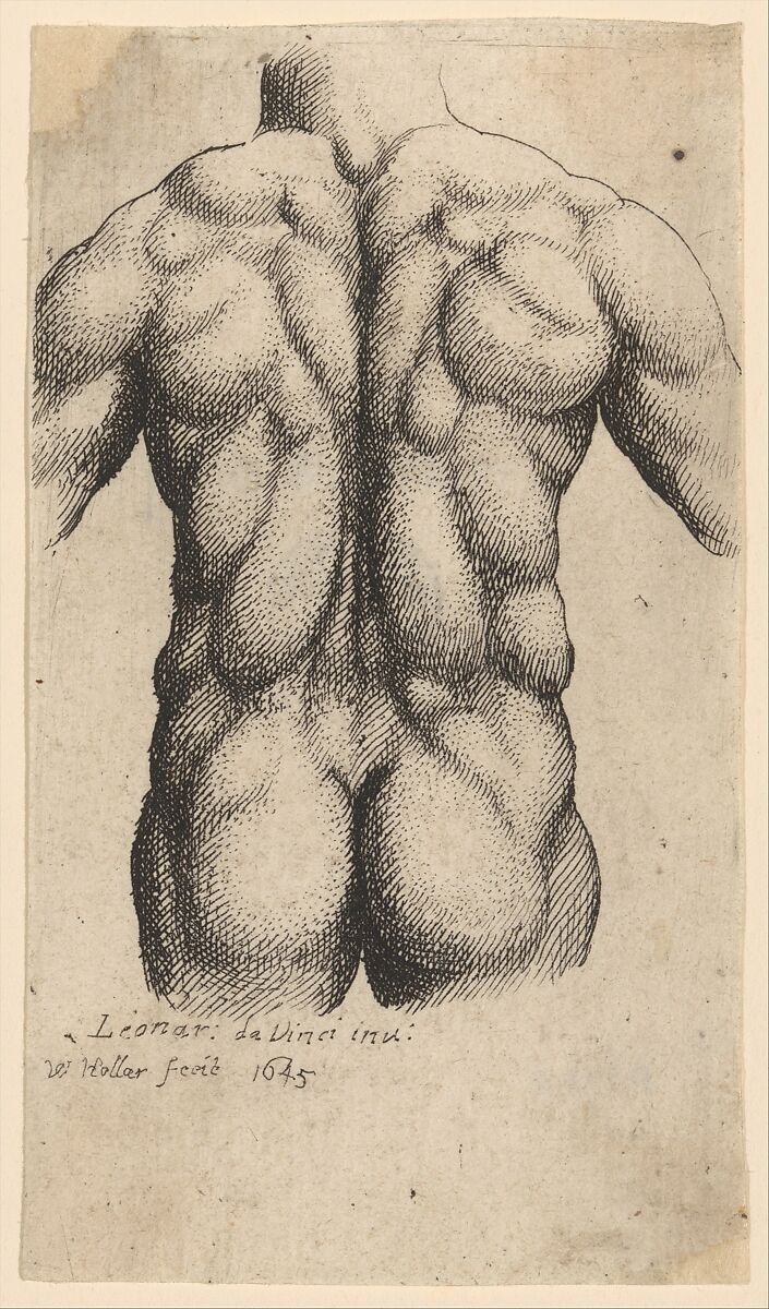 Naked male torso seen from behind, Wenceslaus Hollar (Bohemian, Prague 1607–1677 London), Etching; only state