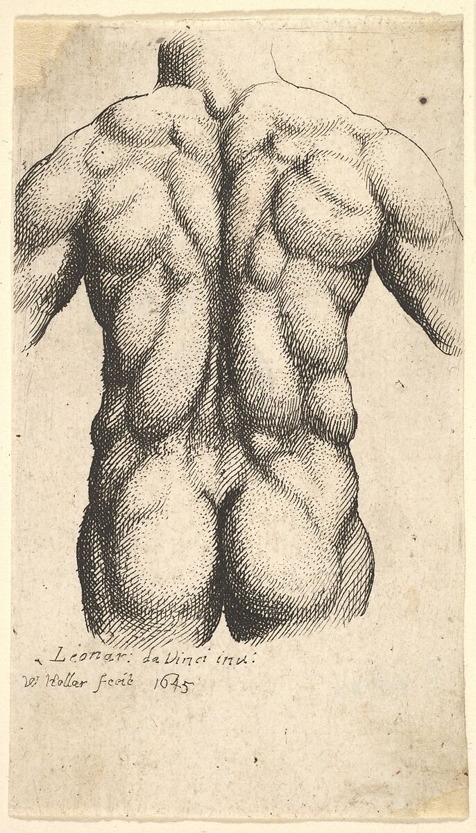 Naked male torso seen from behind, Wenceslaus Hollar (Bohemian, Prague 1607–1677 London), Etching; only state 