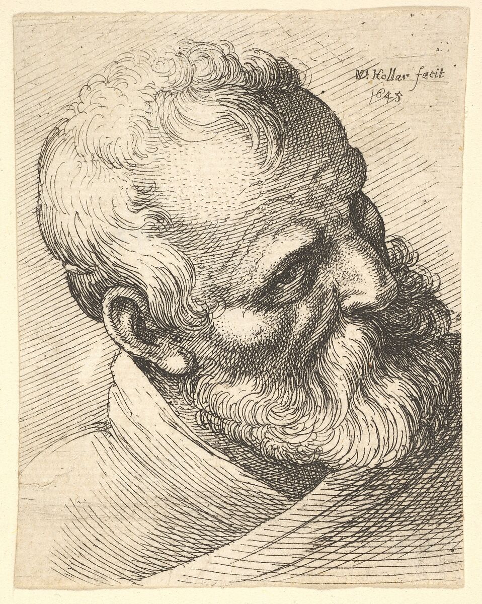 Bearded old man with a tilted head, Wenceslaus Hollar (Bohemian, Prague 1607–1677 London), Etching; only state 