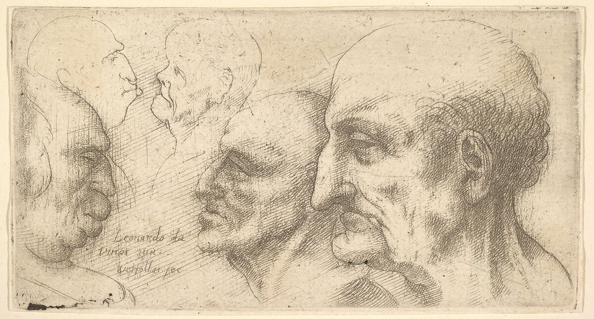 Five Heads, Wenceslaus Hollar (Bohemian, Prague 1607–1677 London), Etching; only state 