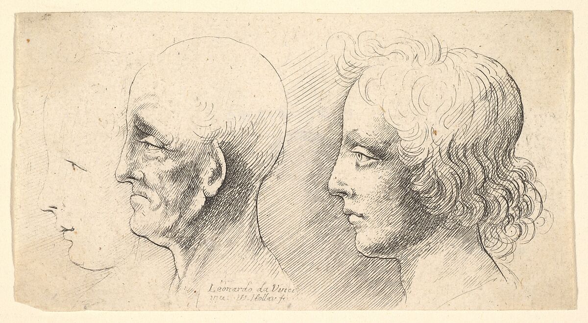 Three profile heads, one in outline only, Wenceslaus Hollar (Bohemian, Prague 1607–1677 London), Etching, first state of two 