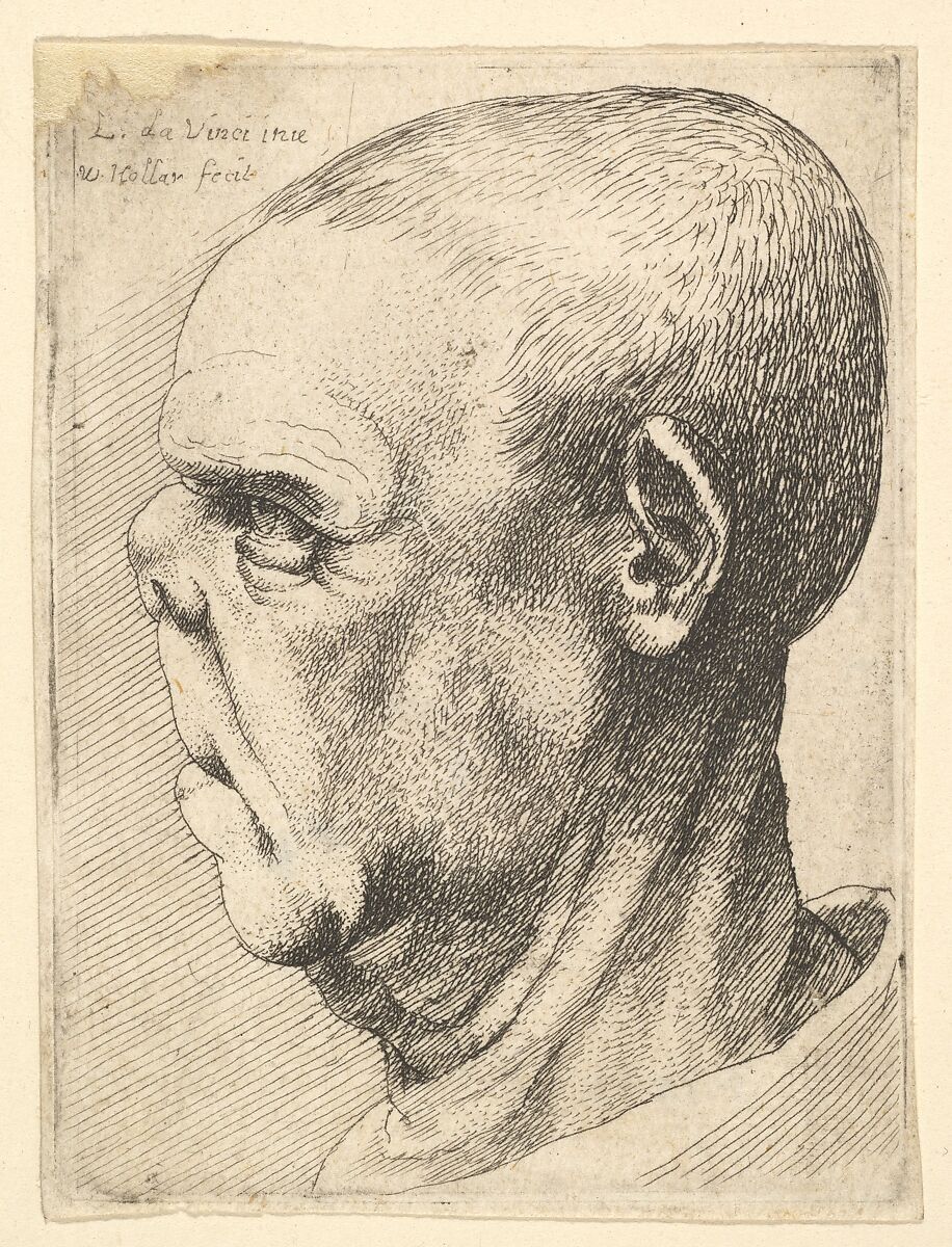 Grotesque old man with flattened nose in profile to left, Wenceslaus Hollar (Bohemian, Prague 1607–1677 London), Etching; only state 