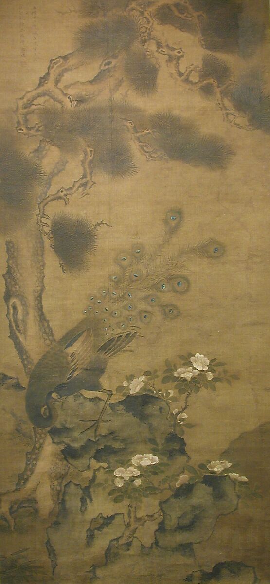 Peacock with Pine and Camellia, After Zhu Duan (Chinese, act. ca. 1500–21), Hanging scroll; ink and color on silk, China 