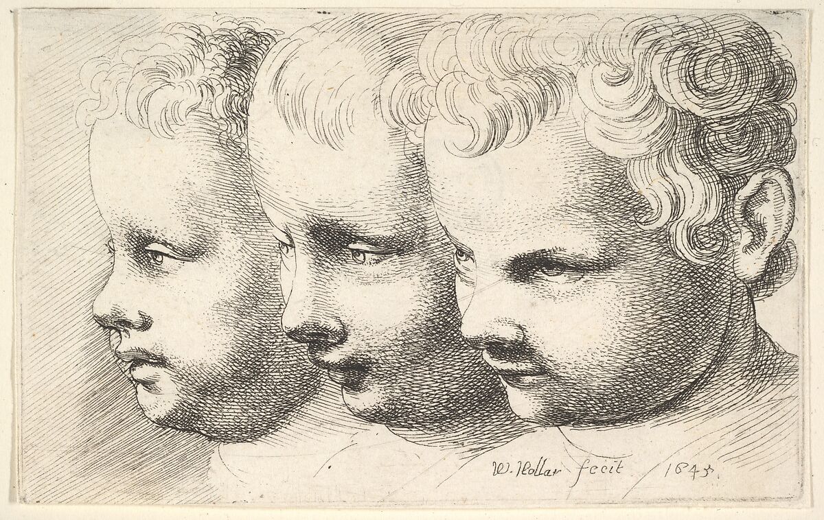 Three children's heads, Wenceslaus Hollar (Bohemian, Prague 1607–1677 London), Etching; only state 