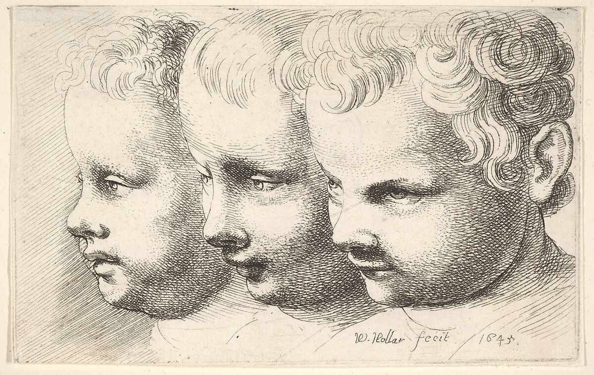 Wenceslaus Hollar | Three children's heads | The Metropolitan Museum of Art