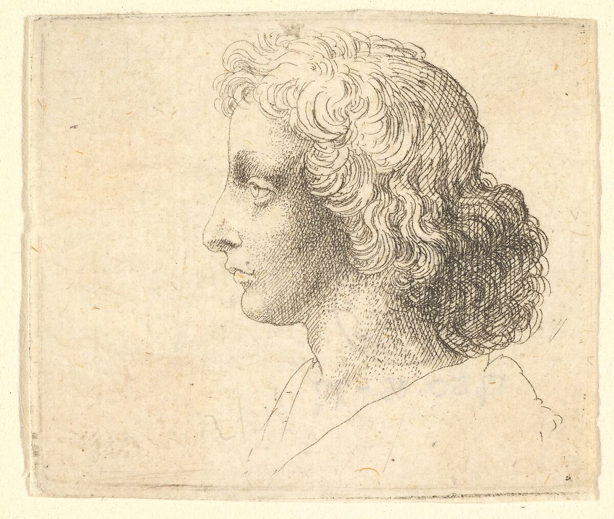 Head of young man with long hair in profile to the left, Wenceslaus Hollar (Bohemian, Prague 1607–1677 London), Etching; only state 