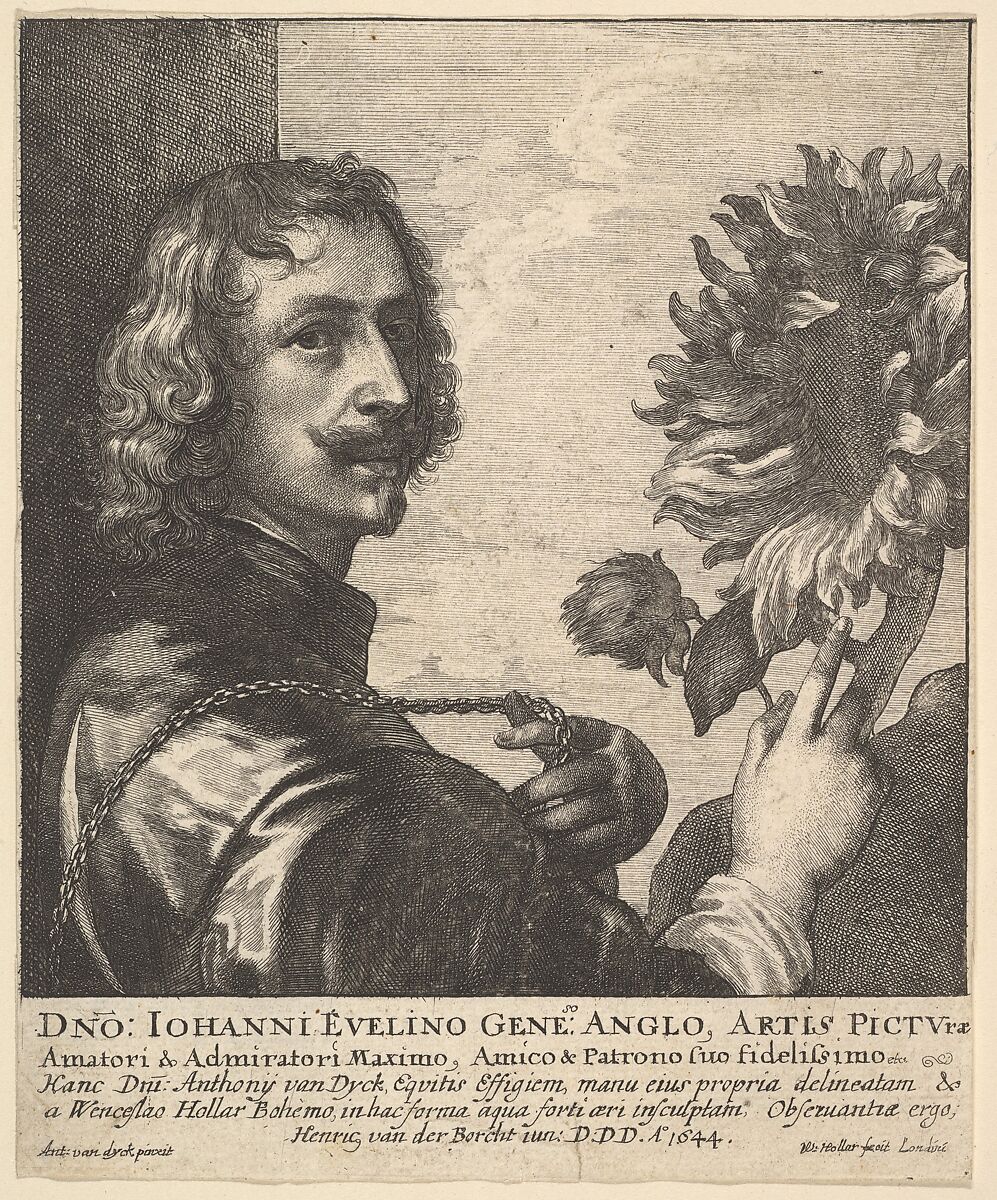 Sir Anthony Van Dyck with a Sunflower, Wenceslaus Hollar (Bohemian, Prague 1607–1677 London), Etching; third state of three 