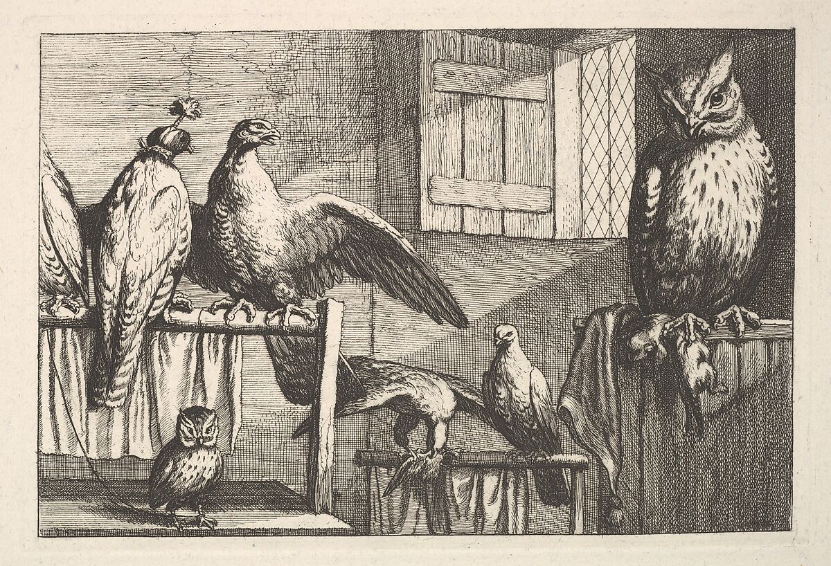 Hawks and owls, Wenceslaus Hollar (Bohemian, Prague 1607–1677 London), Etching; only state 
