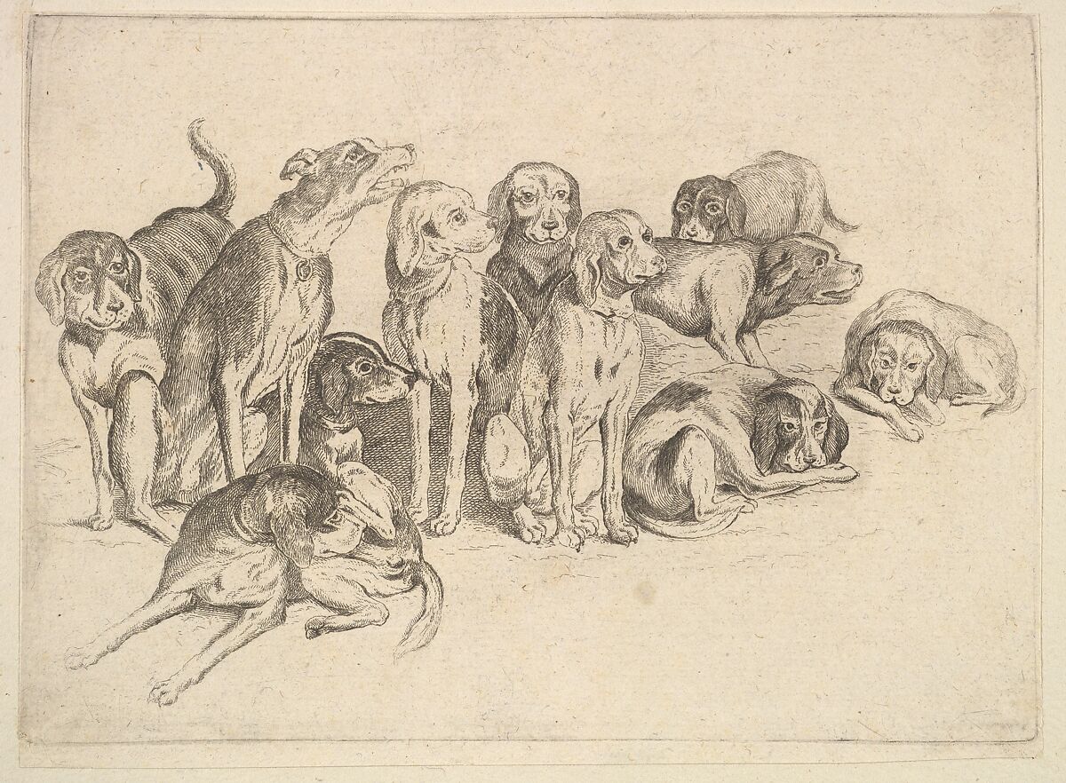 Eleven Hounds, Wenceslaus Hollar (Bohemian, Prague 1607–1677 London), Etching; only state 