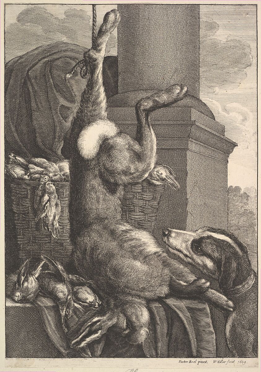 The Dead Hare, Wenceslaus Hollar (Bohemian, Prague 1607–1677 London), Etching; first state of three 