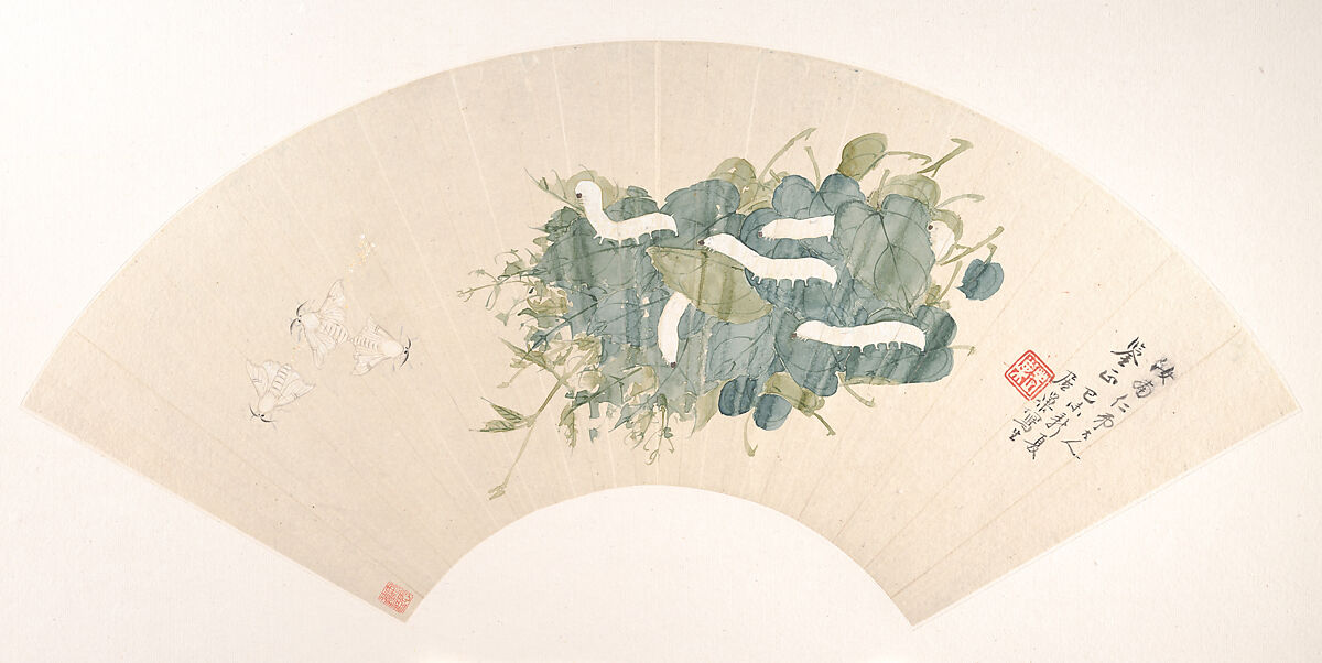 Silkworm, Ju Chao (Chinese, ca. 1823–1889), Folding fan mounted as an album leaf; ink and color on alum paper, China 