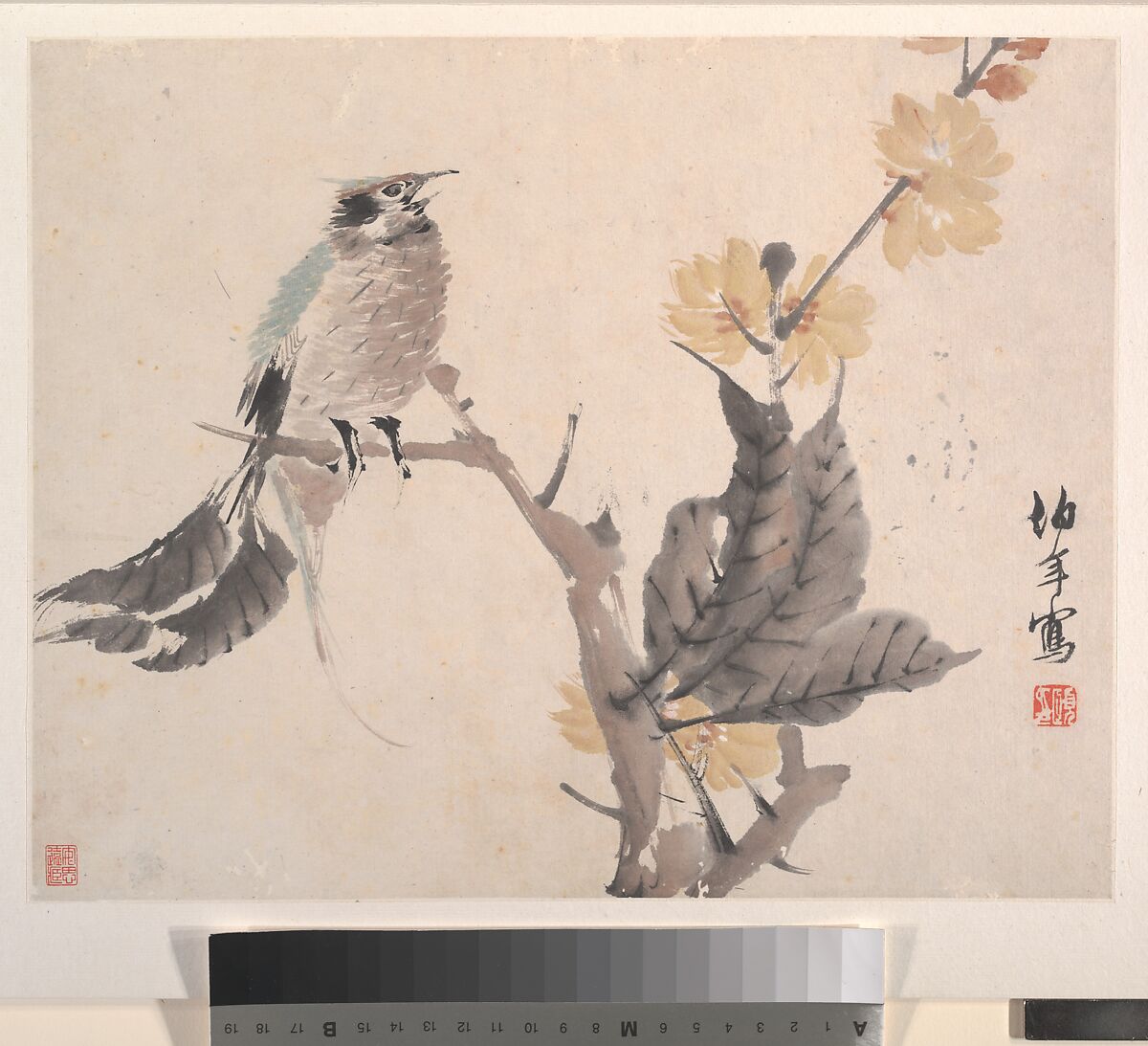 Animals, Flowers and Birds, Ren Yi (Ren Bonian) (Chinese, 1840–1896), Album of eight leaves; ink and color on paper, China