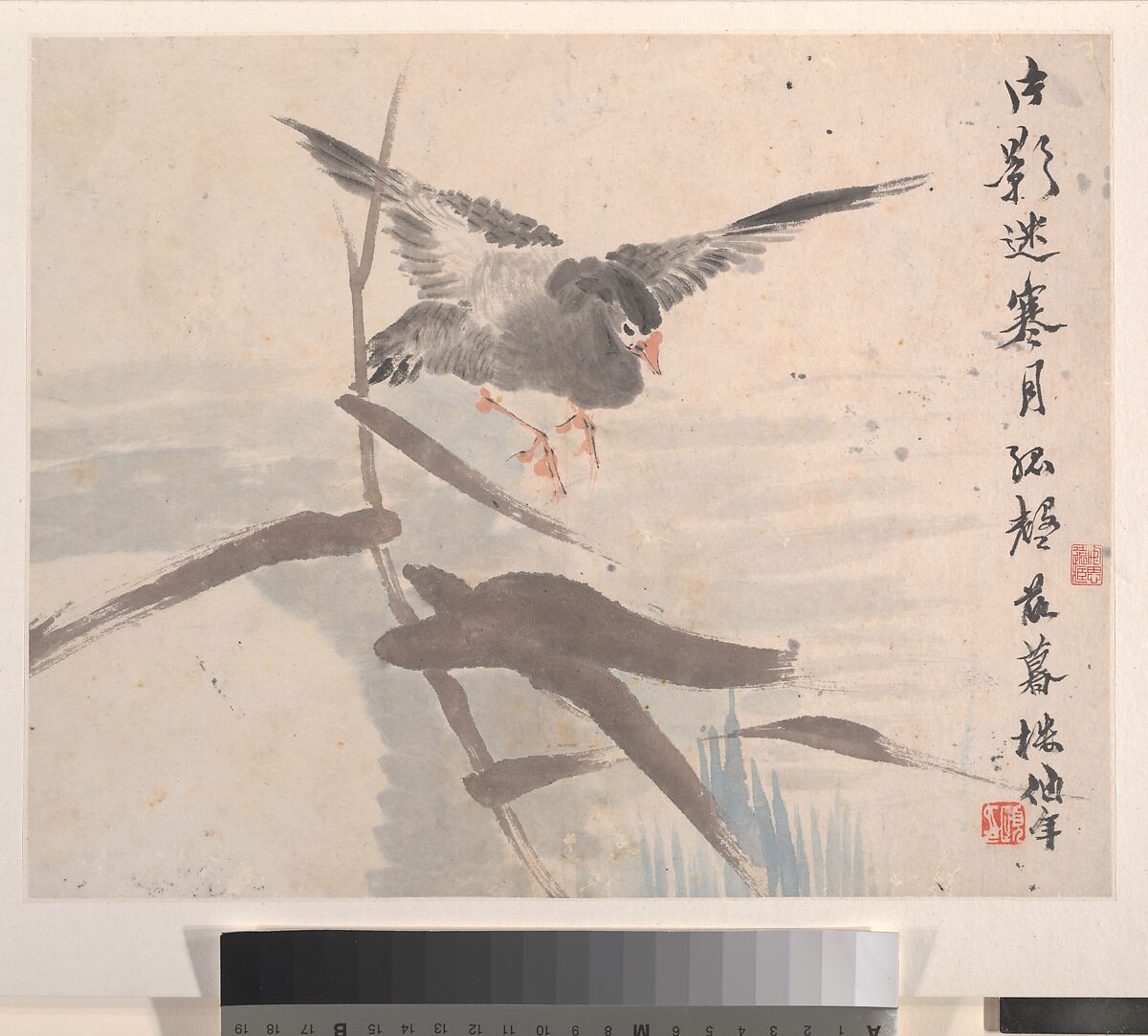 Animals, Flowers and Birds, Ren Yi (Ren Bonian) (Chinese, 1840–1896), Album of eight leaves; ink and color on paper, China