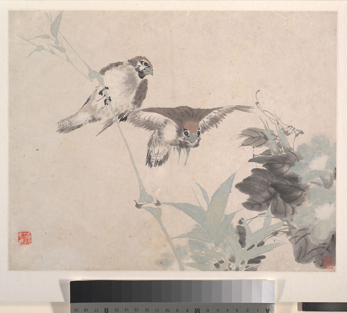 Animals, Flowers and Birds, Ren Yi (Ren Bonian) (Chinese, 1840–1896), Album of eight leaves; ink and color on paper, China