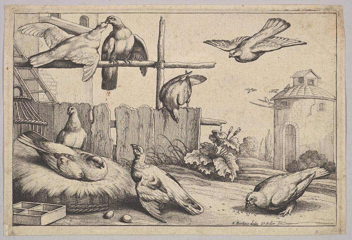 Eight Pigeons (or Doves) in a Farmyard near a Coup, a Dovecote in the Background, Wenceslaus Hollar (Bohemian, Prague 1607–1677 London), Etching; first state of two 