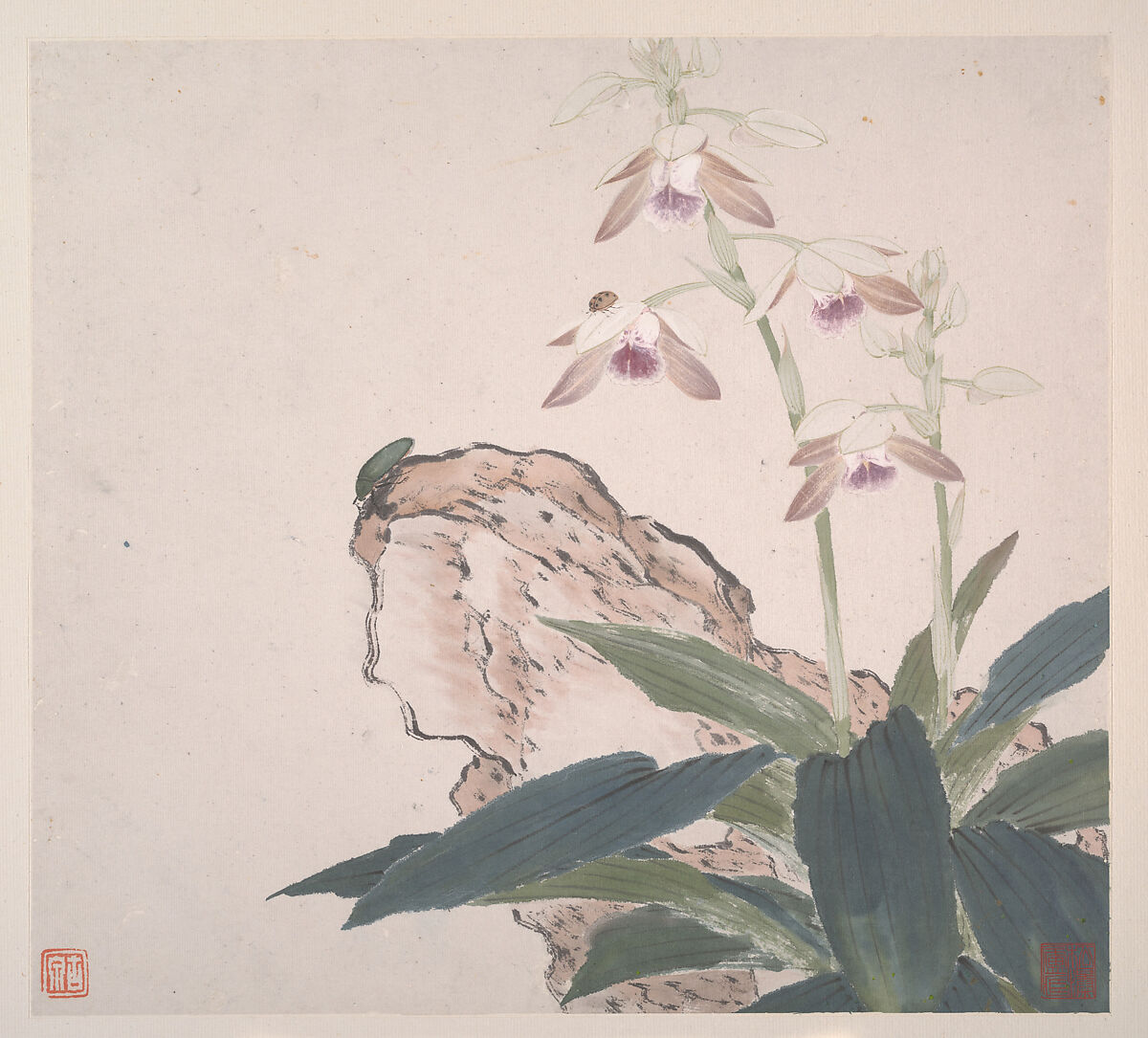 Insects and Flowers, Ju Lian (Chinese, 1828–1904), Album of eight leaves; ink and color on paper, China