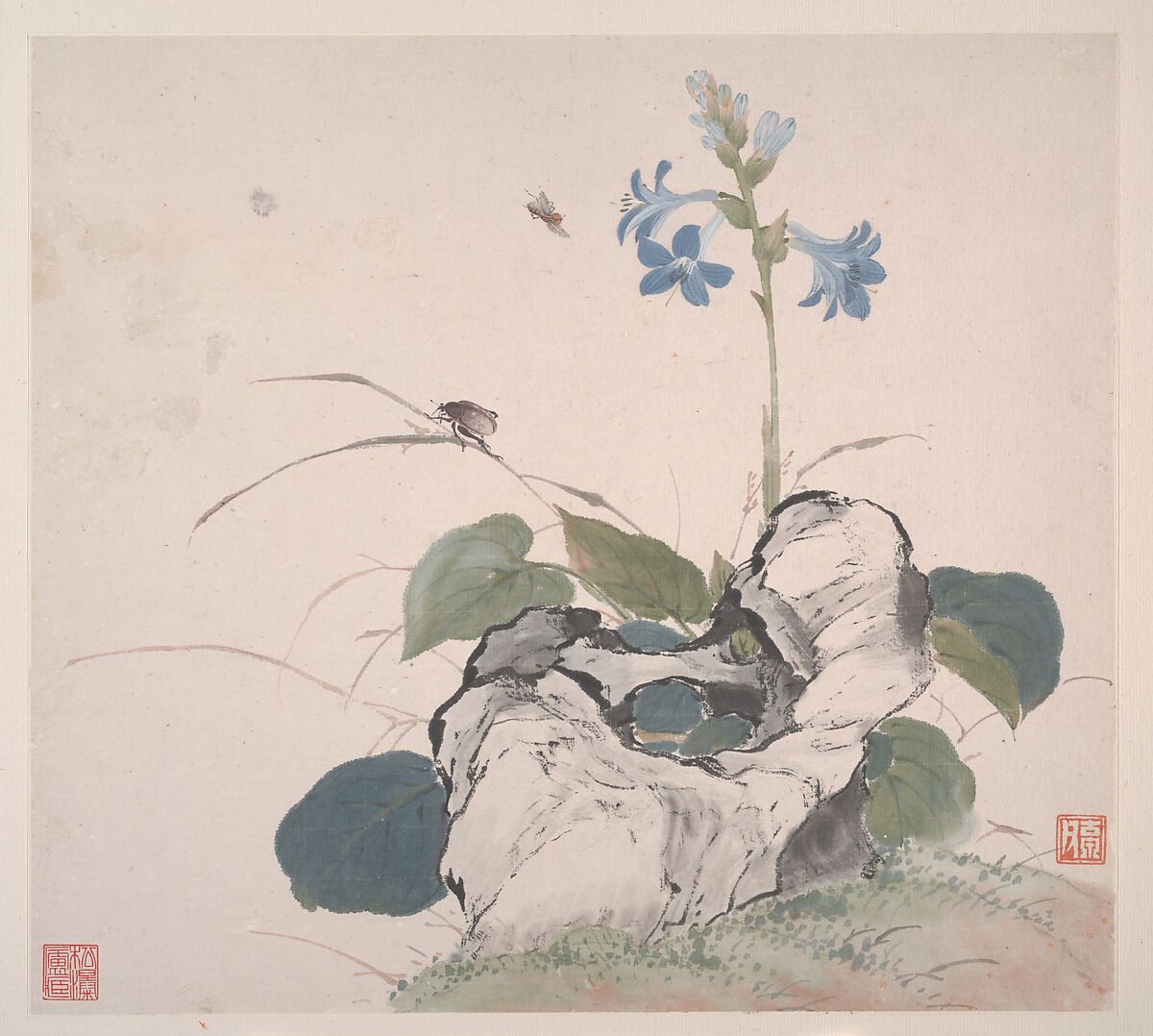 Insects and Flowers, Ju Lian (Chinese, 1828–1904), Album of eight leaves; ink and color on paper, China