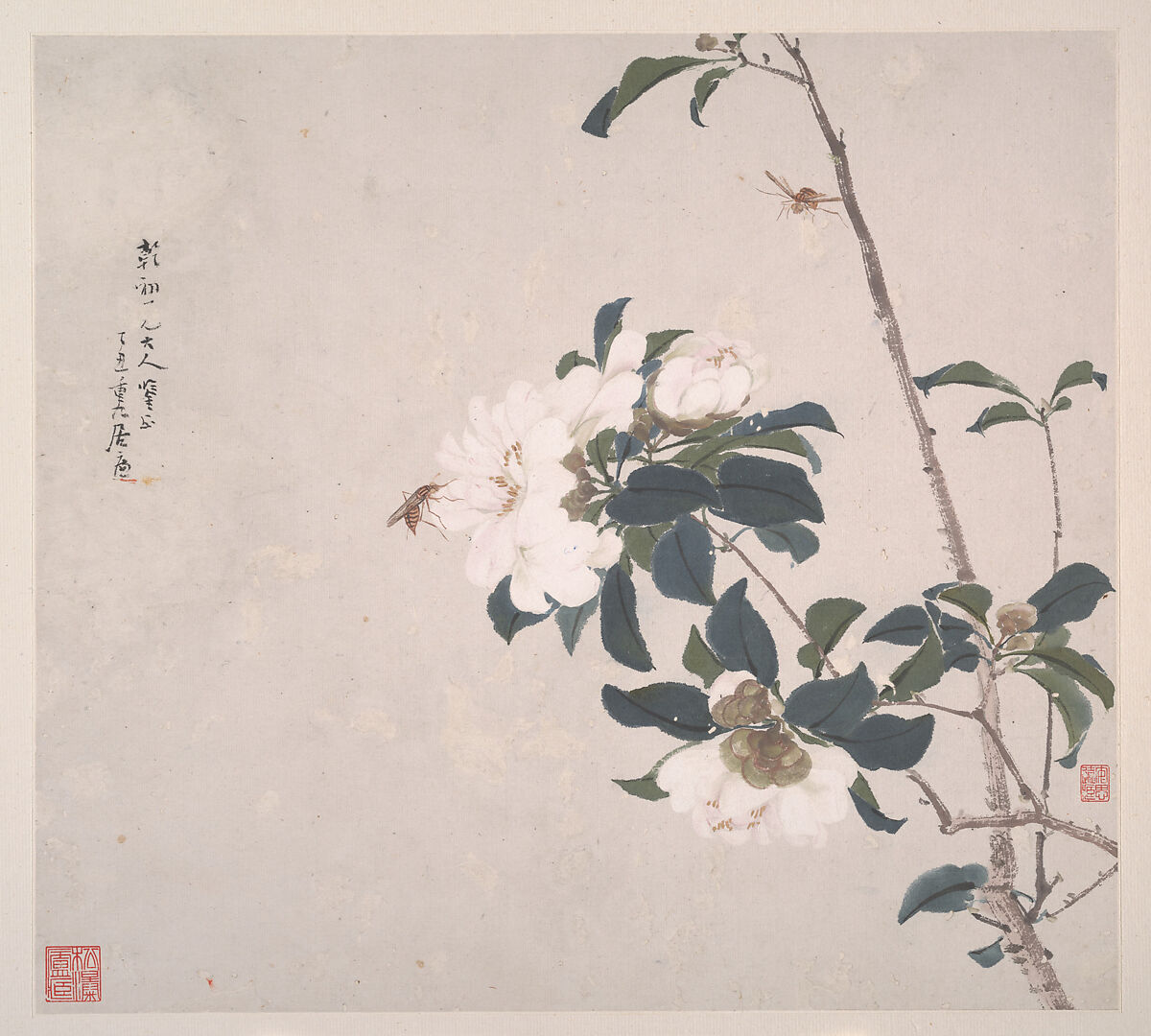 Insects and Flowers, Ju Lian (Chinese, 1828–1904), Album of eight leaves; ink and color on paper, China