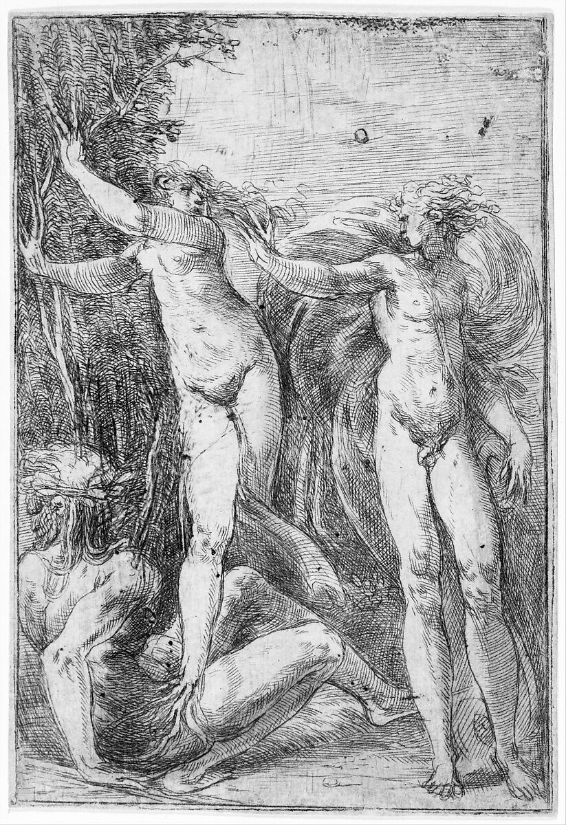 Apollo and Daphne, Andrea Schiavone (Andrea Meldola) (Italian, Zadar (Zara) ca. 1510?–1563 Venice), Etching