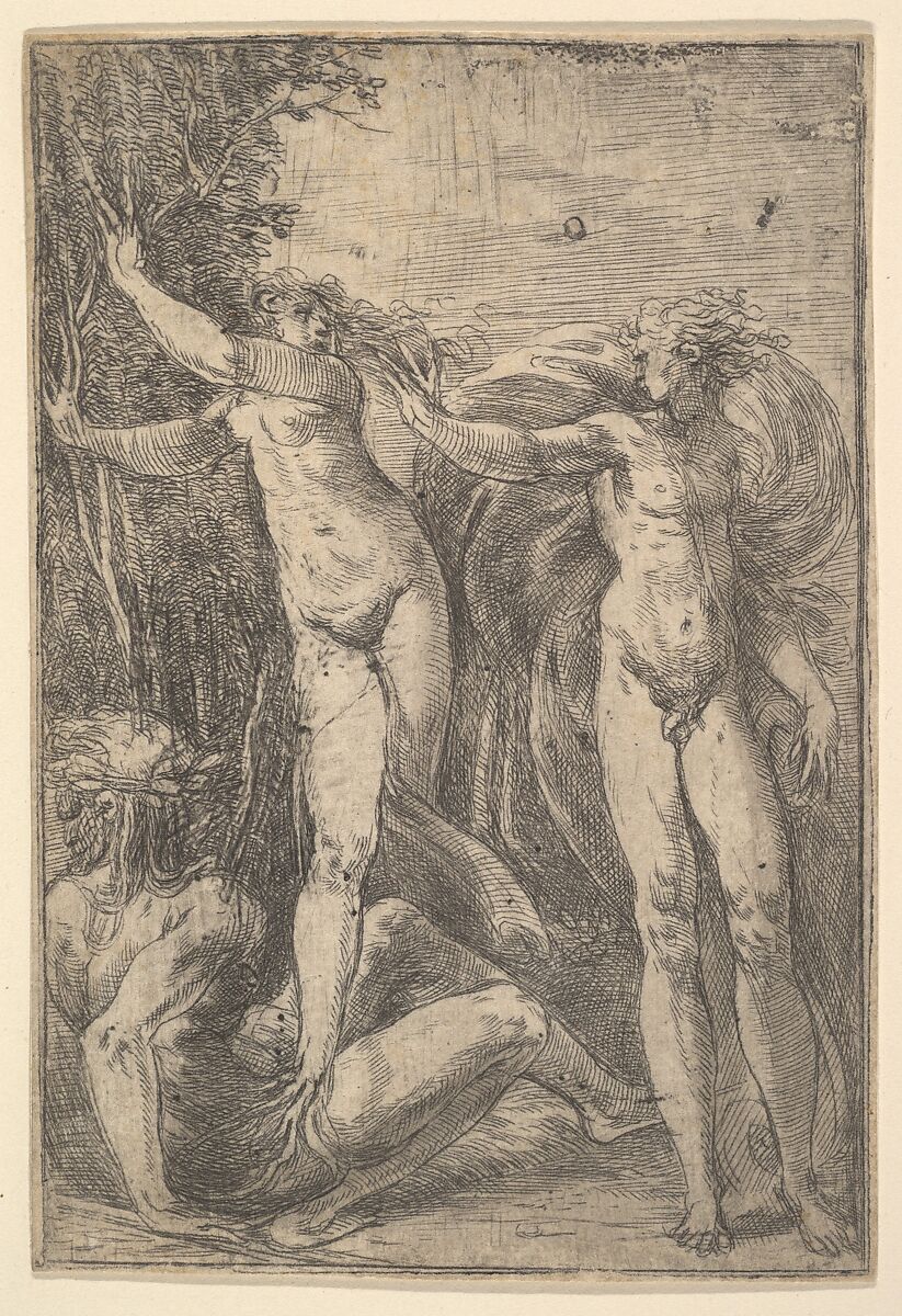 Apollo and Daphne, Andrea Schiavone (Andrea Meldola)  Italian, Etching